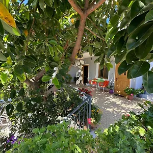 Guest house Albi's
